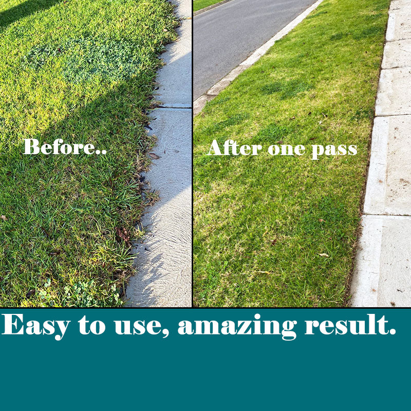 150cc 228mm Walk-Behind Lawn Edger 