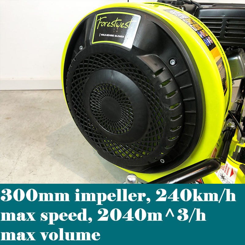 209cc 240km/h Walk-Behind Lawn Blower 