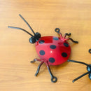 Garden Metal Art Ladybug 3 in 1 with Securing Screws 